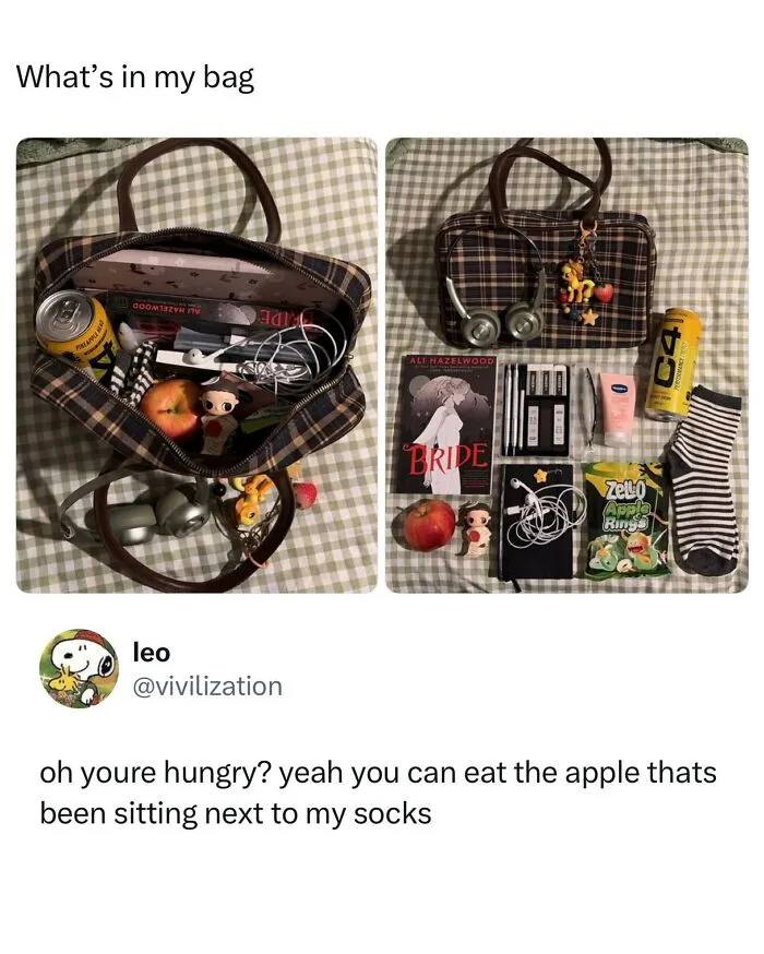Open bag and contents showing everyday items like apple and headphones wild-memes-thehomie