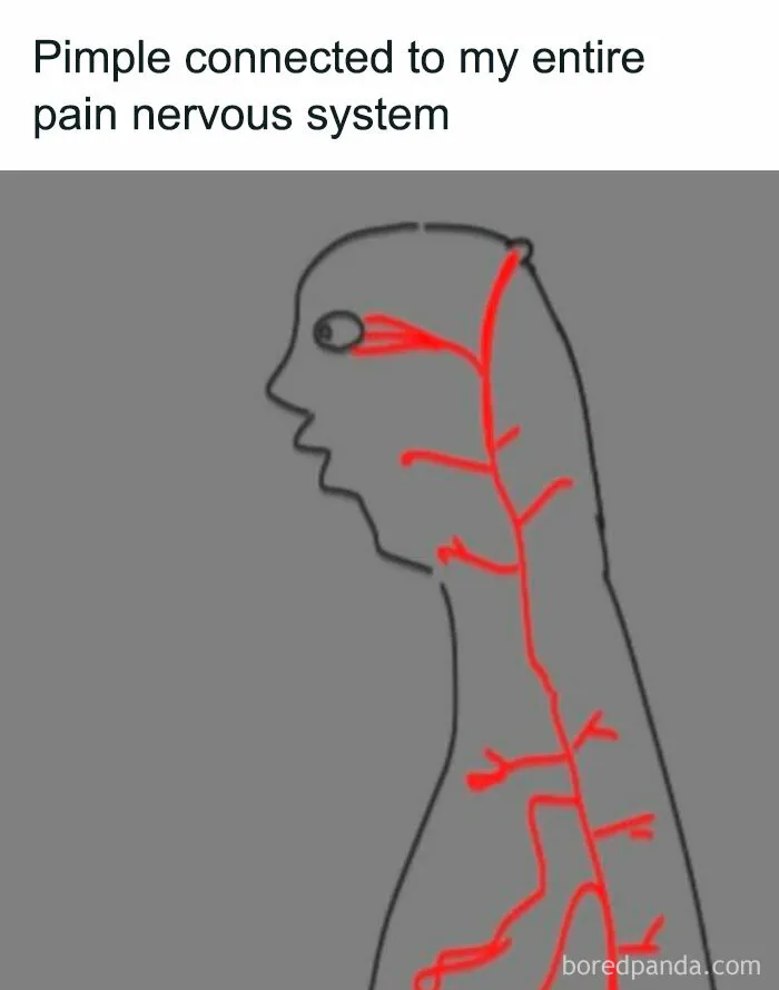 99 Memes For Anyone Who Just Wants To Forget Their Problems And Have A Laugh
