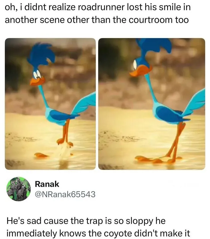 Roadrunner cartoon character looking sad near a sloppy trap in a meme about wild memes