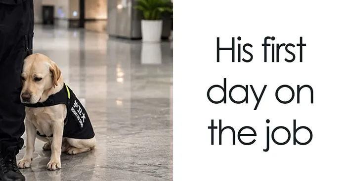 99 Memes For Anyone Who Just Wants To Forget Their Problems And Have A Laugh