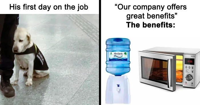 99 Memes For When You’ve Got Five Minutes To Waste And No Better Plan