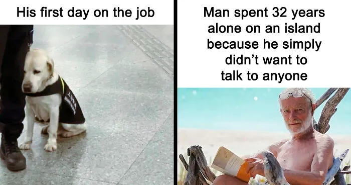 99 Random Memes That Feel Like Somebody Shuffled The Entire Internet
