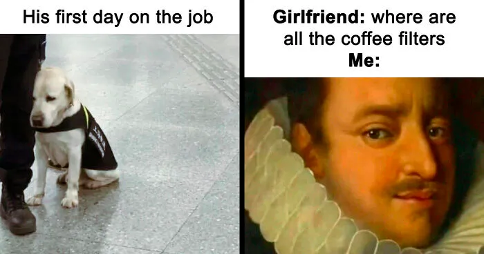 99 Memes For When You’ve Got Five Minutes To Waste And No Better Plan