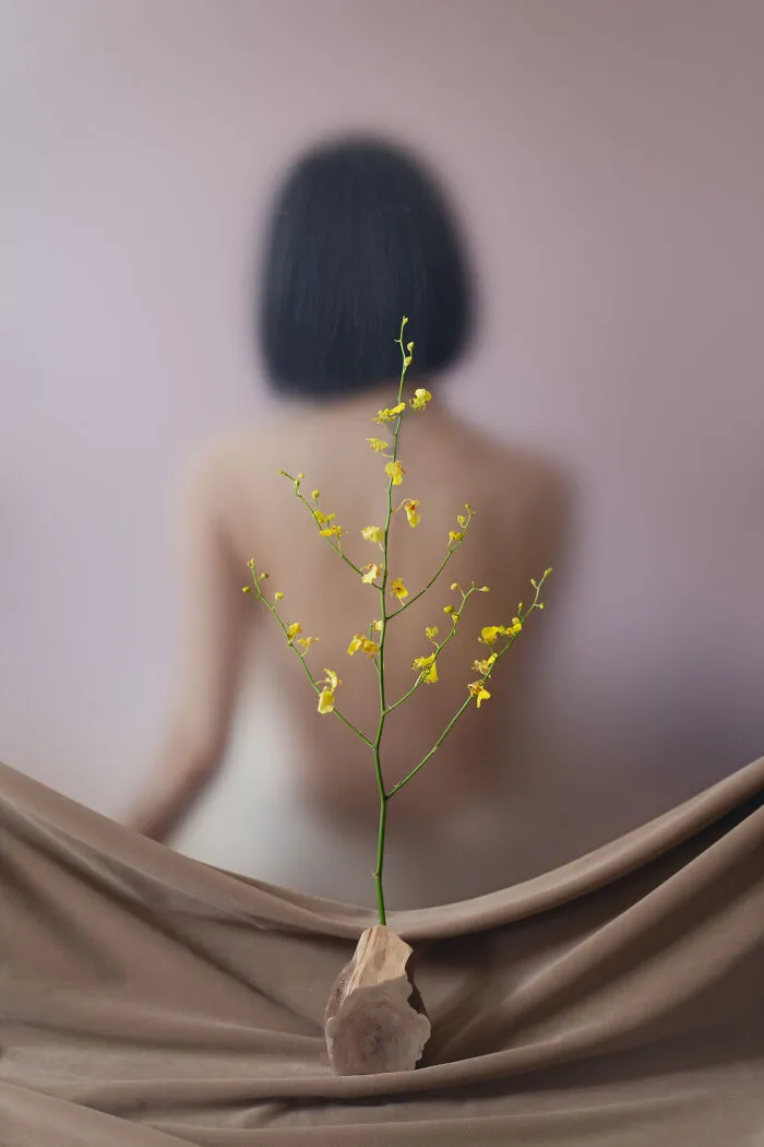 This Photographer Created 32 Dreamlike Shots Using Only Reflections And Household Objects