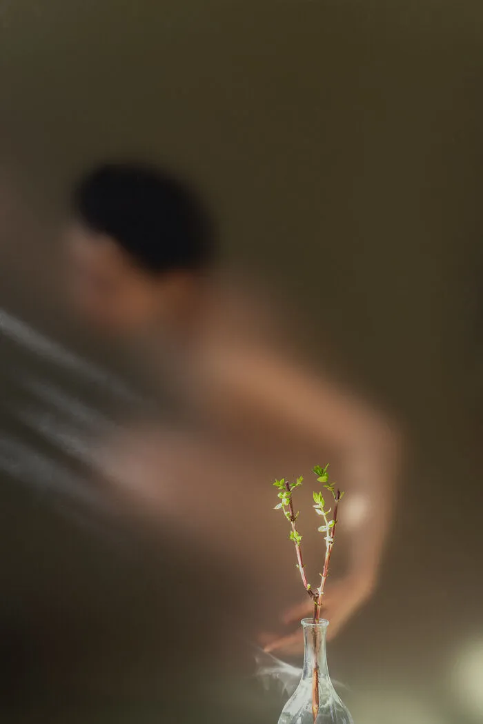 This Photographer Created 32 Dreamlike Shots Using Only Reflections And Household Objects