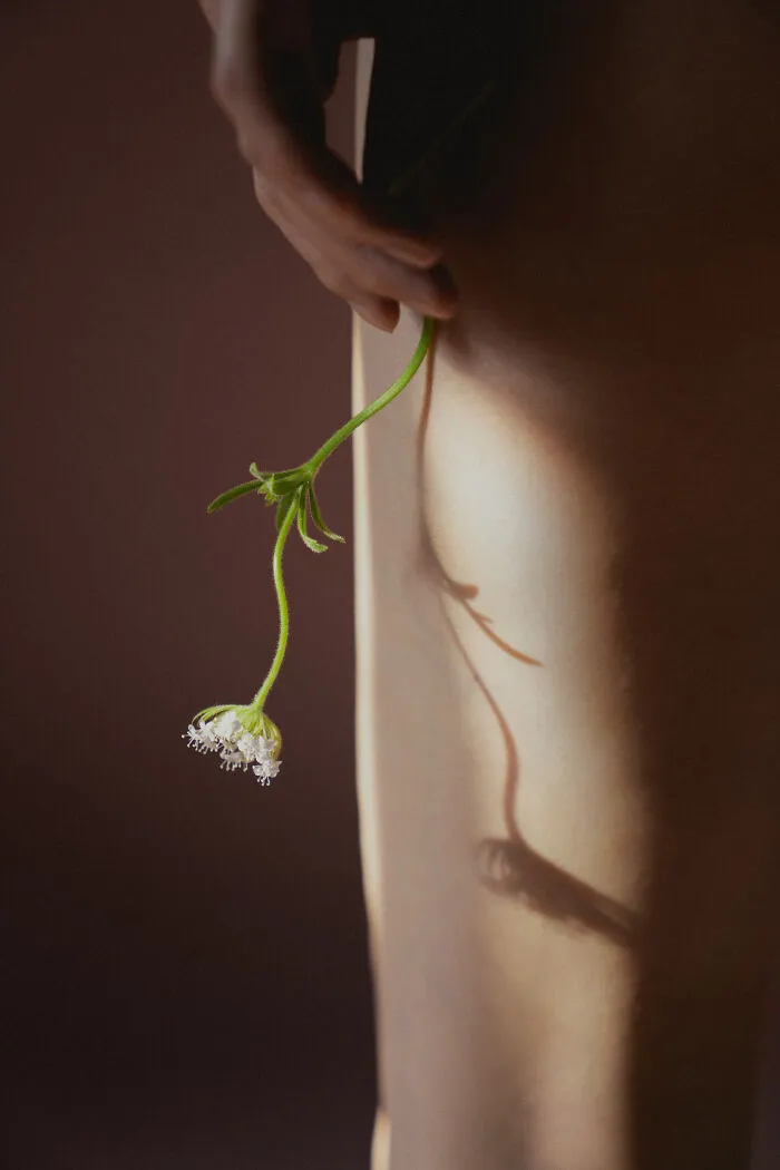 This Photographer Created 32 Dreamlike Shots Using Only Reflections And Household Objects