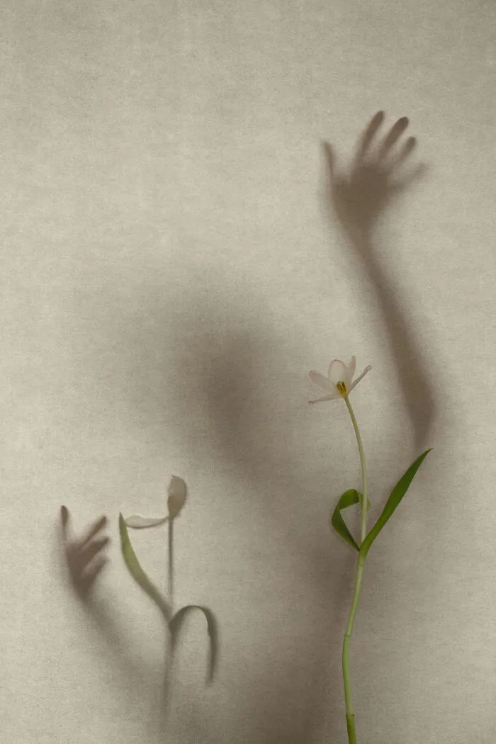 This Photographer Created 32 Dreamlike Shots Using Only Reflections And Household Objects