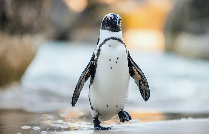 These 49 Animals Seem Cute But Zookeepers Say They Are A Total Nightmare