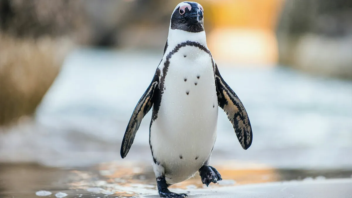 These 49 Animals Seem Cute But Zookeepers Say They Are A Total Nightmare