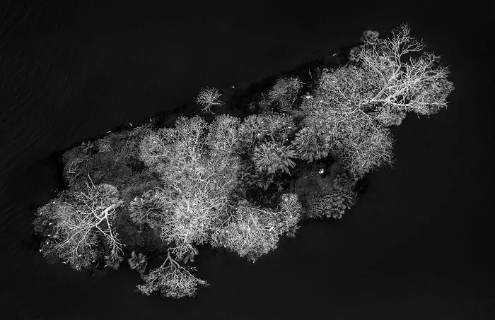 Bird Island, Culiacan, Mexico From The Series 'The Unknown Landscape Of Mexico' By Brian Overcast