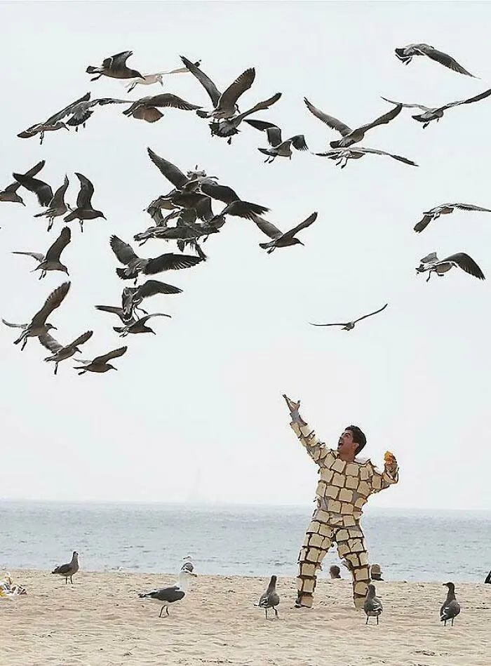 Unhinged images of a man in a bread suit being attacked by a flock of seagulls on a beach.