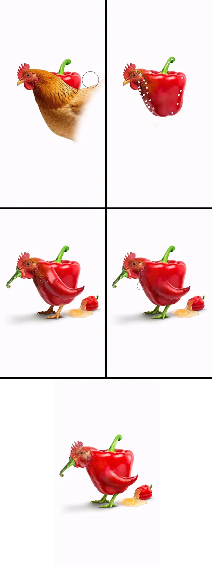 Absurd animal hybrids: A red bell pepper is transformed into a chicken with tiny pepper feet, an artist creation.