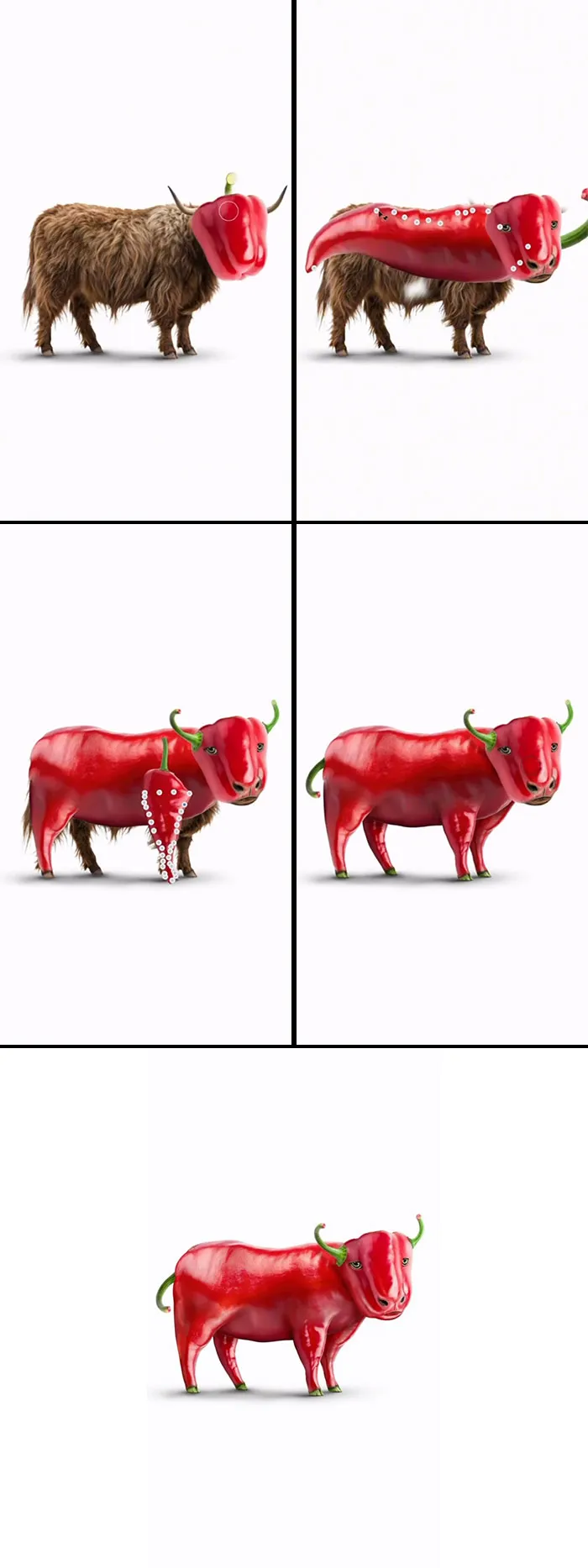“Pepper On 4 Legs”