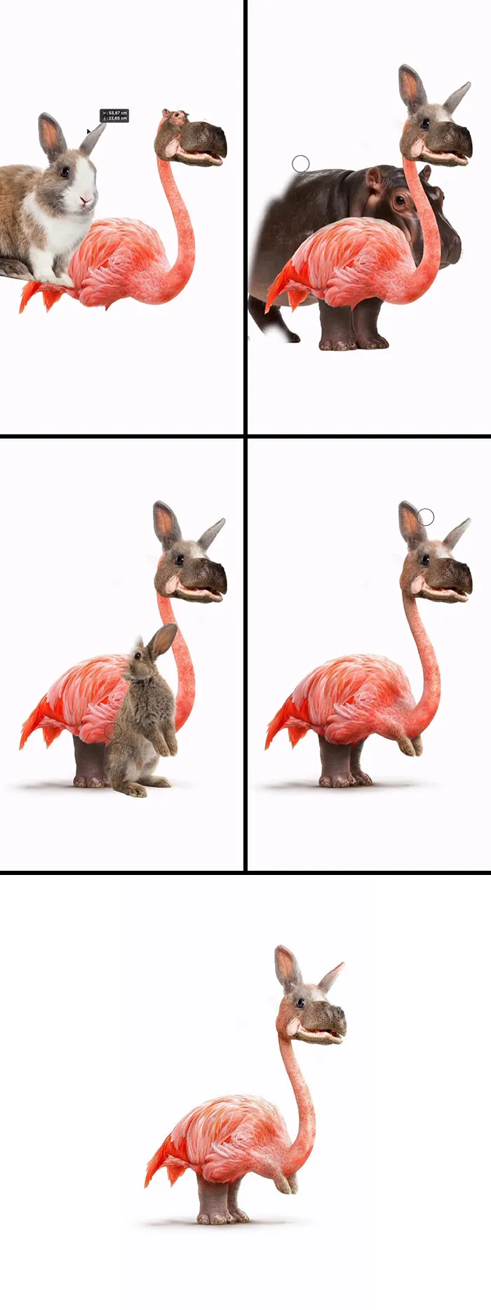 “3 Animals In One”