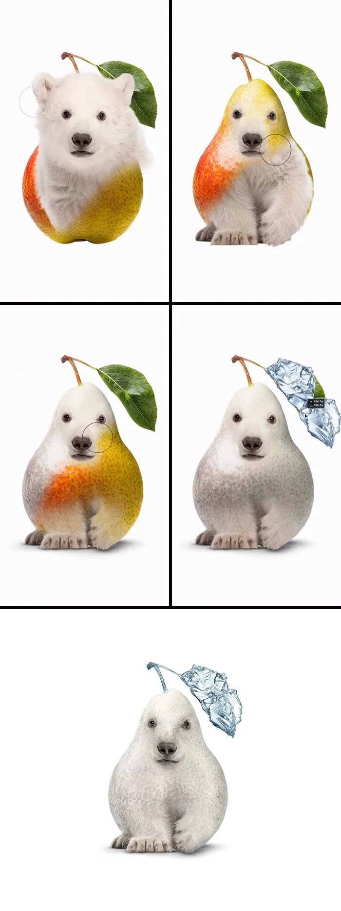 “Polar Pear”
