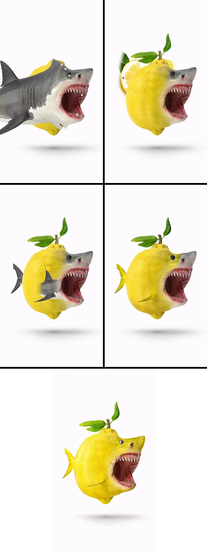 “Lemonshark”