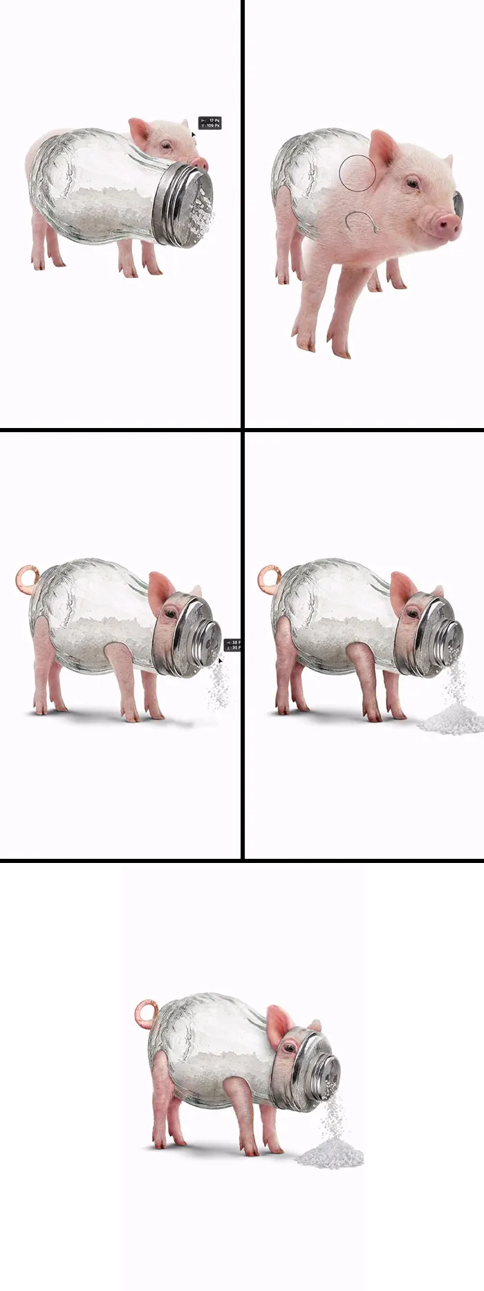 “Salzsäule / Saltpiggy”