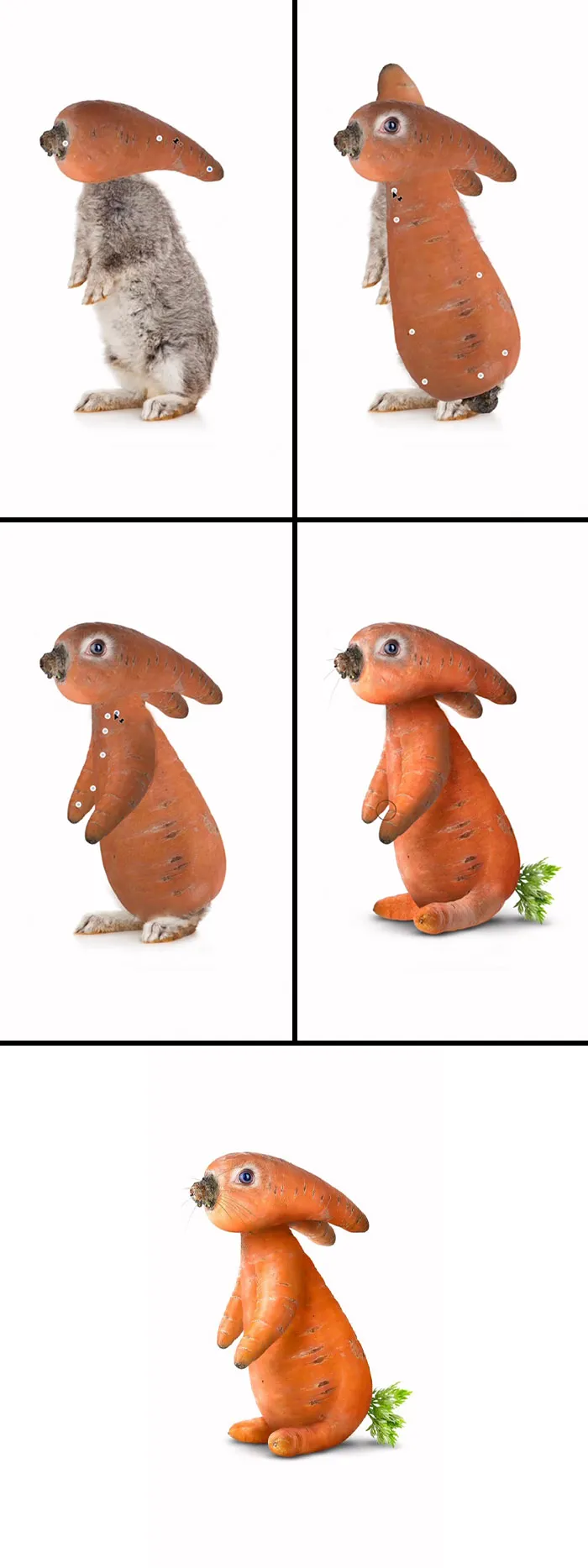 “Easter Bunny”