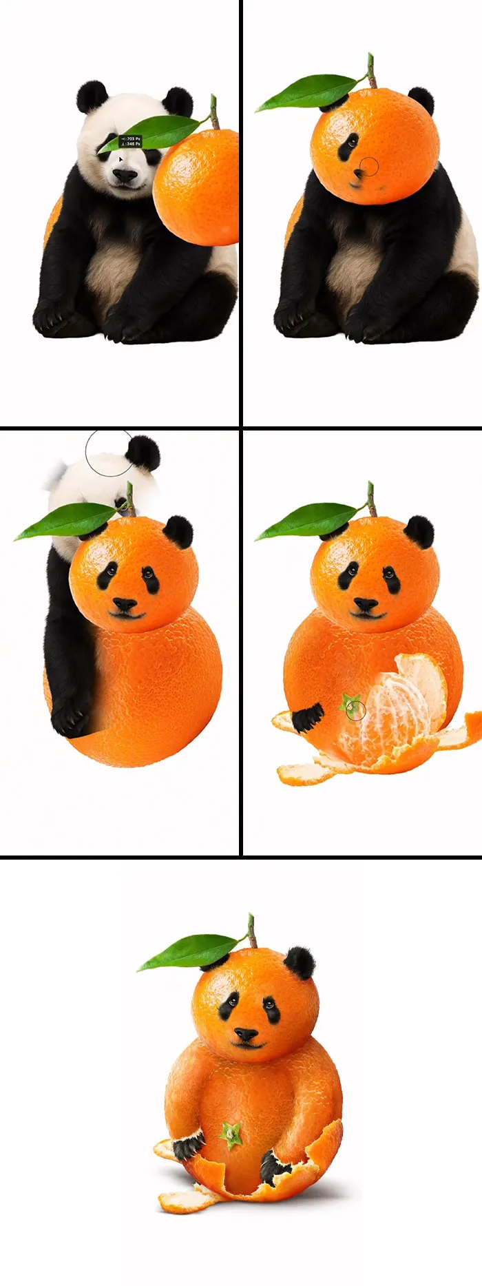 “Pandarin”