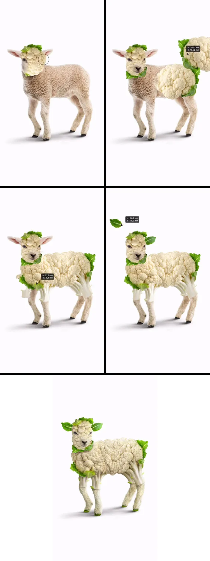 Absurd animal hybrids: A lamb-cauliflower hybrid, with a lamb's head and cauliflower florets forming its wool, a clever blend.