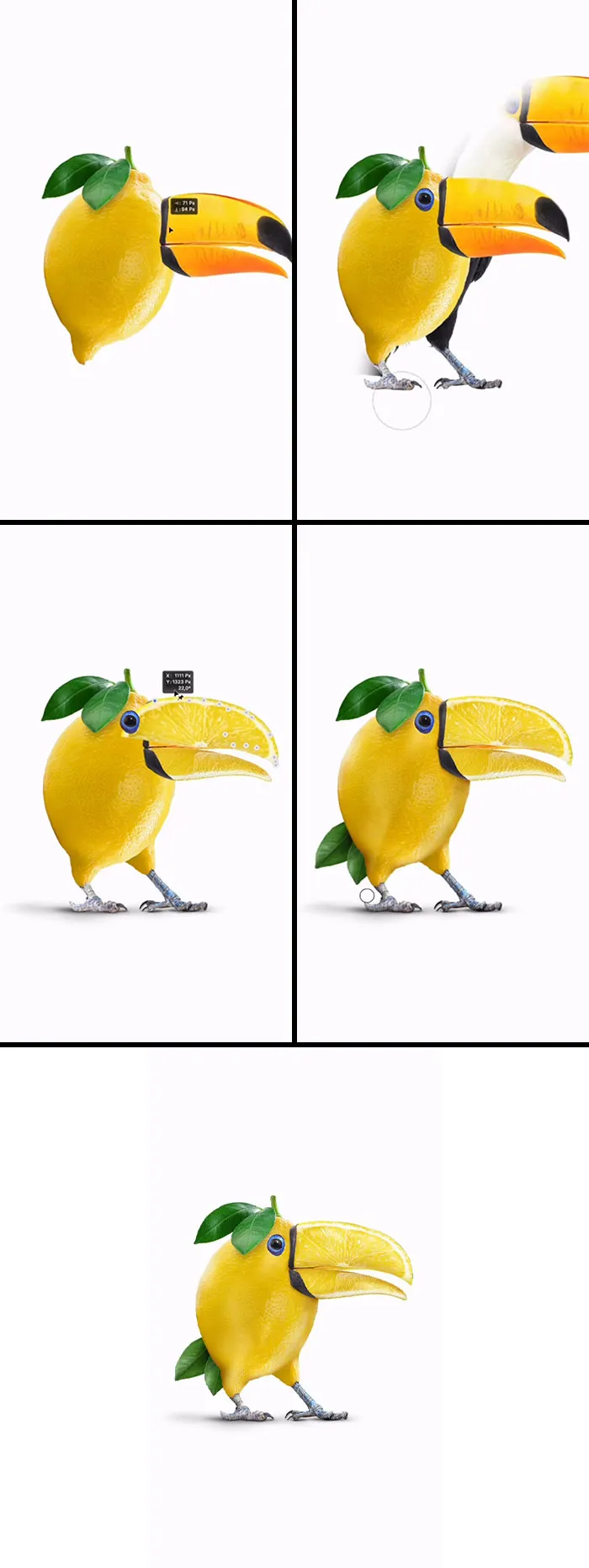 “Lemon-Toucan”