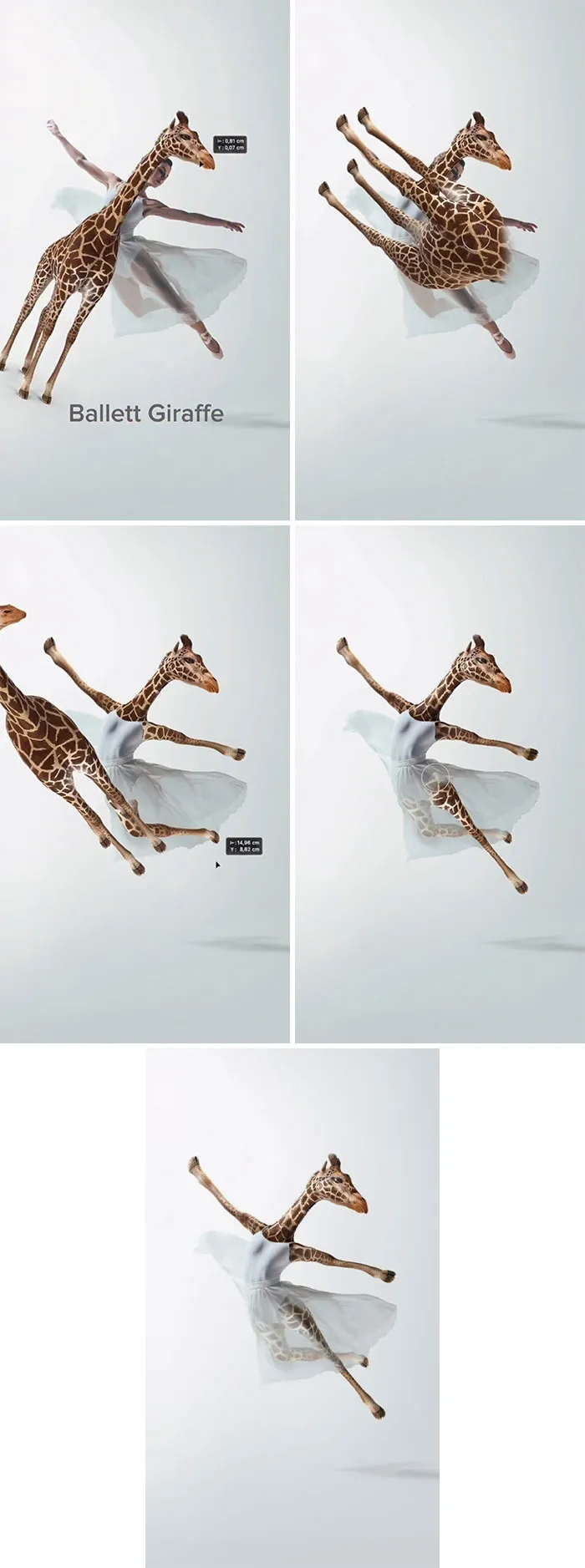 “Ballerina Giraffe”