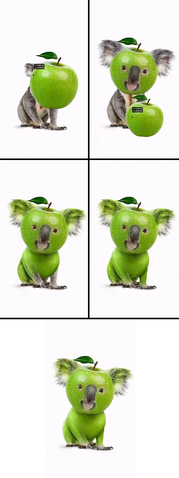 Animal hybrids art: A koala with an apple for a head. Absurd animal hybrids, creative artwork, fever dream creatures.