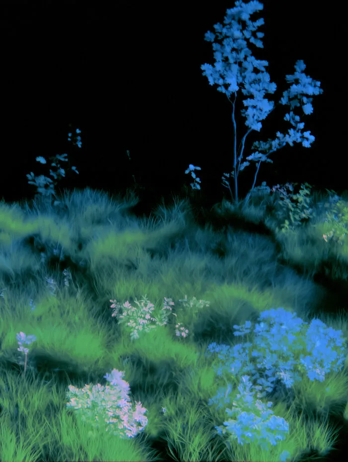 28 Ethereal Images By Lela Amparo That Turn Real Landscapes Into Immersive Art