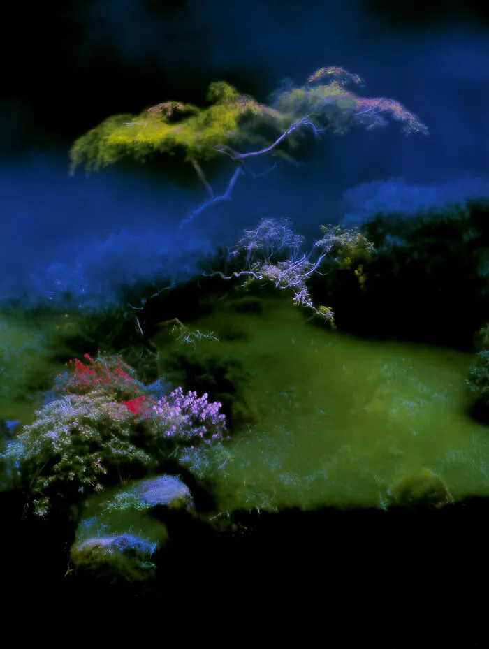 28 Ethereal Images By Lela Amparo That Turn Real Landscapes Into Immersive Art