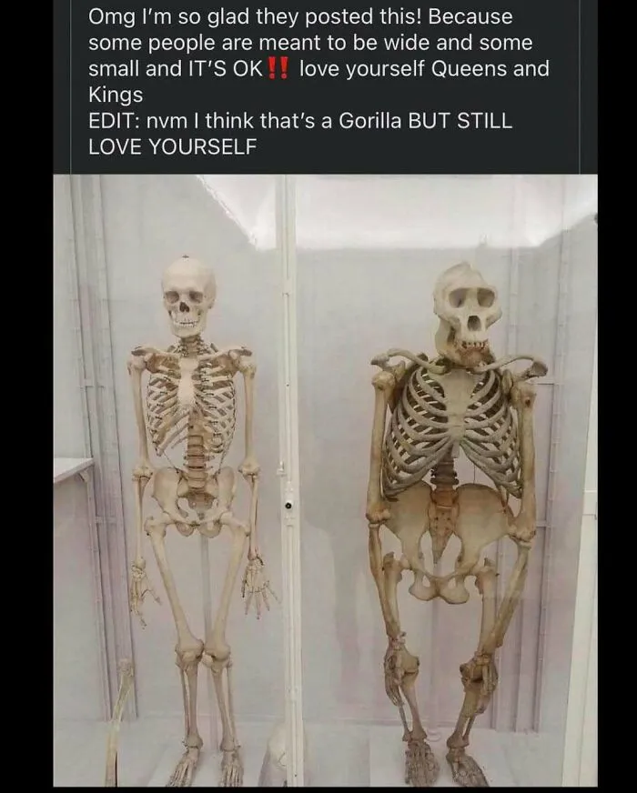 People Love This Page’s Random Sense Of Humor, So Here Are 70 Of The Best Posts
