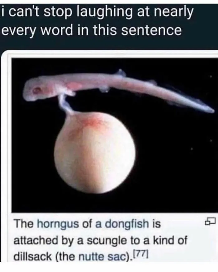 People Love This Page’s Random Sense Of Humor, So Here Are 70 Of The Best Posts