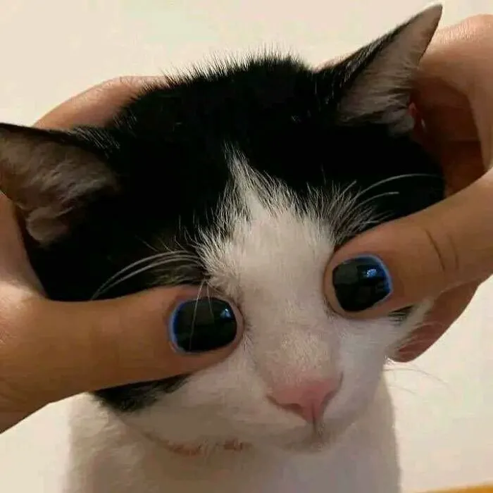 69 Random Pics And Memes Where Things Get Even Weirder And Weirder With Every New Glance