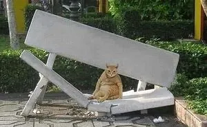 69 Random Pics And Memes Where Things Get Even Weirder And Weirder With Every New Glance