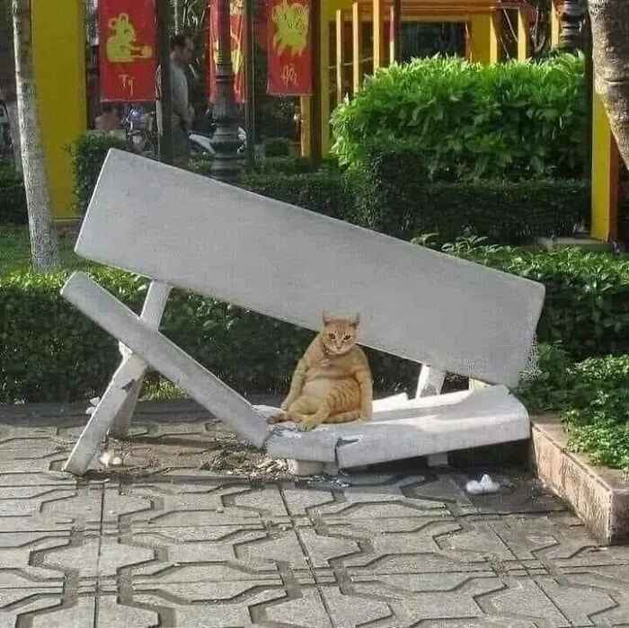 69 Random Pics And Memes Where Things Get Even Weirder And Weirder With Every New Glance