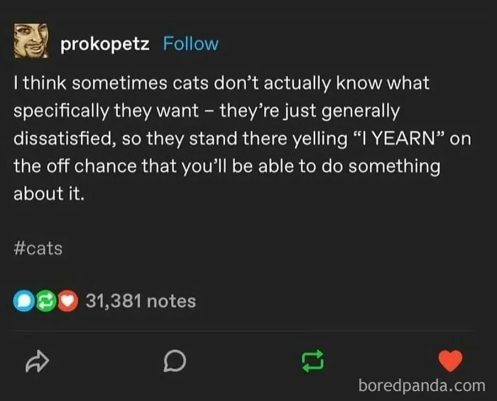 52 Memes So Edgy, You Might Want To Be Careful Looking At Them