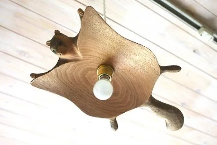 I Know It's Nutty To Say But My Squirrelfriend Totally Lights Up My Life