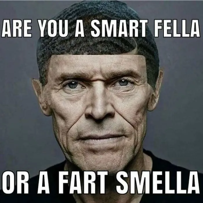 Edgy meme asking if you are a smart fella or a fart smella