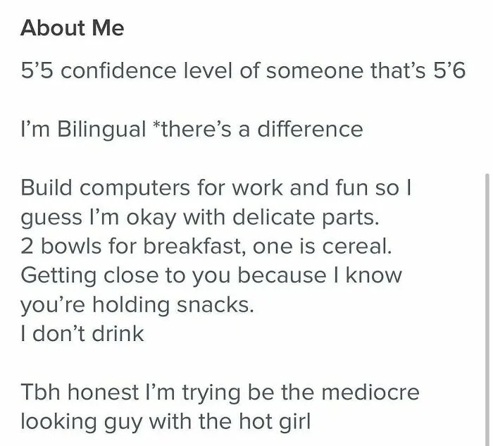 Tinder bio describing bilingual computer builder with quirky personality