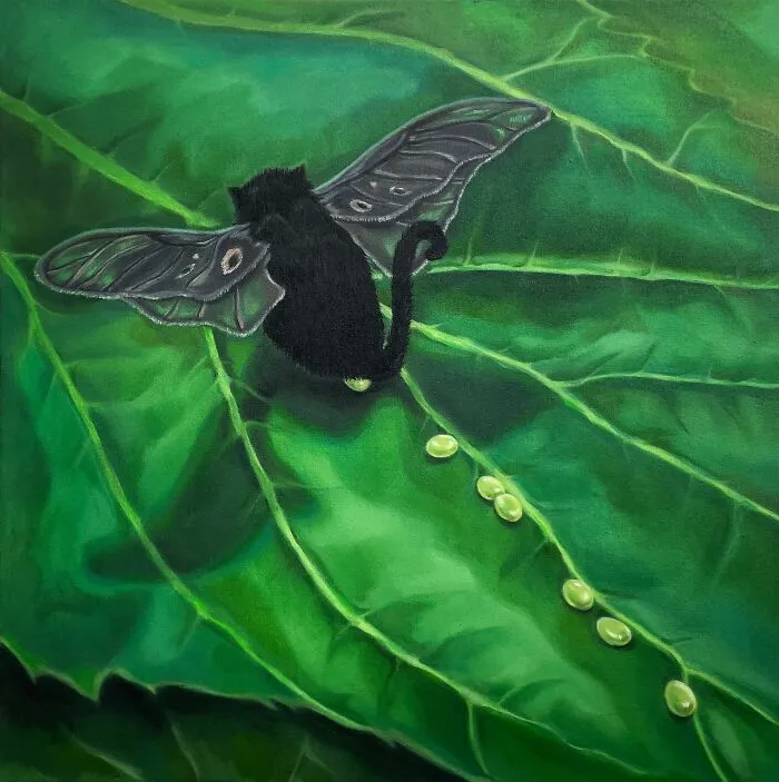 Cat Moth