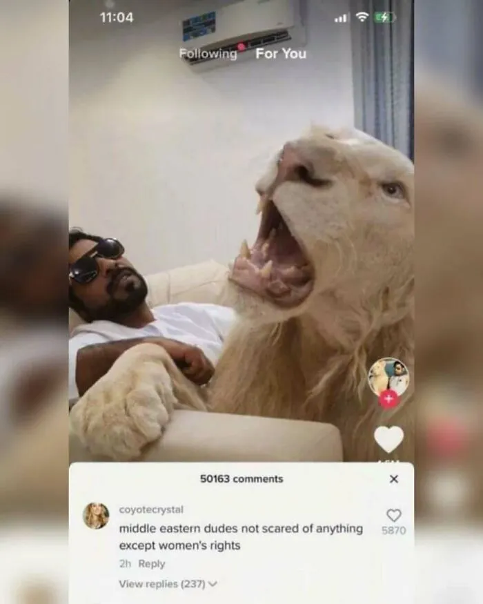 Funny-Comments-Gems-Of-Replies