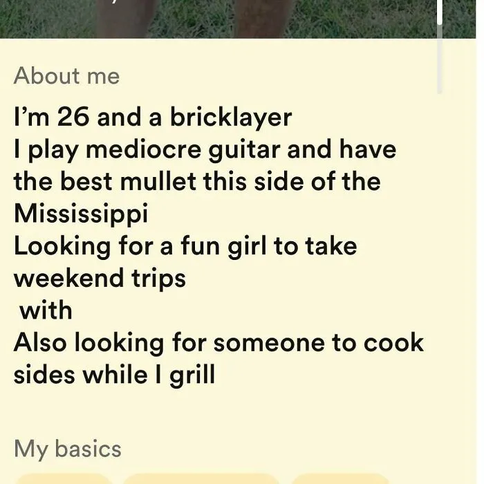 Tinder bio of 26-year-old bricklayer with mediocre guitar skills and mullet