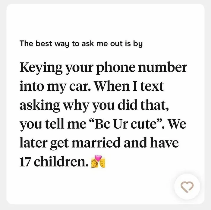 Funny Tinder bio about asking out by keying phone number into car