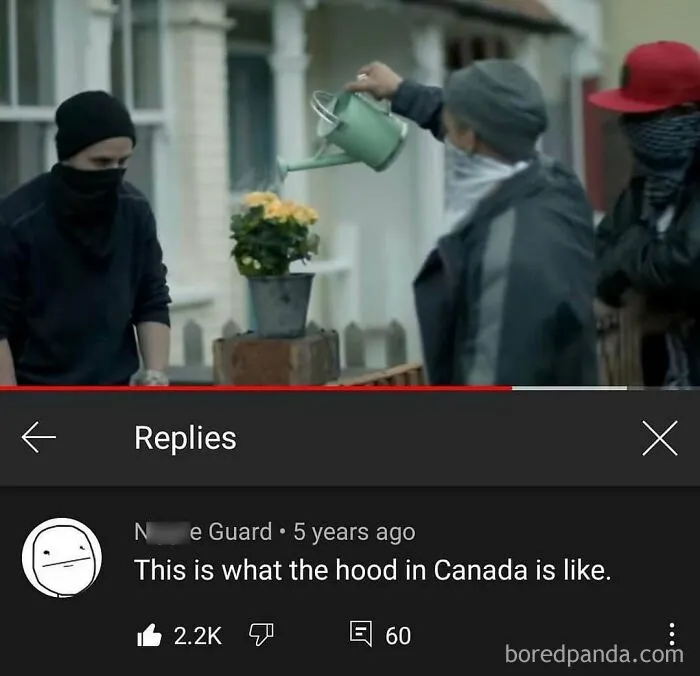 A YouTube comment on a video of people watering flowers, finding gold in the comment section.