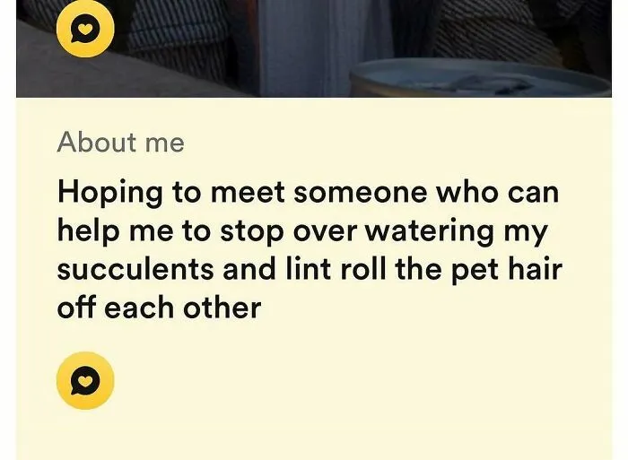 Tinder bio about seeking someone to help with plants and pet hair management