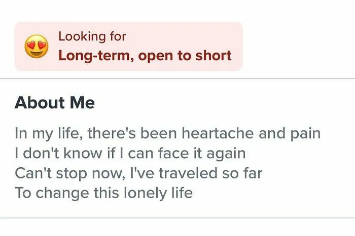 Poetic Tinder bio about heartache and longing for love
