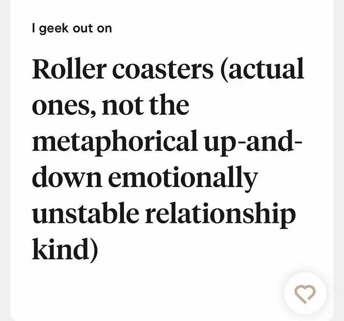 Weird Tinder bio expressing love for actual roller coasters