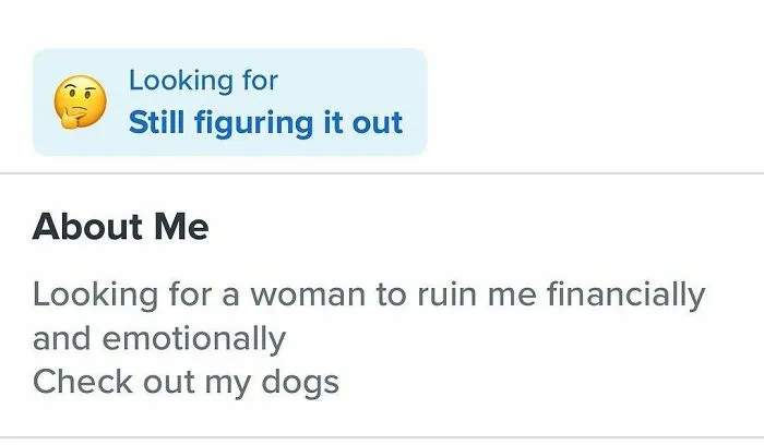 Tinder profile looking for someone while mentioning financial and emotional impact and dogs