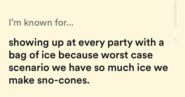 Tinder bio about showing up with ice bags at parties for making sno-cones