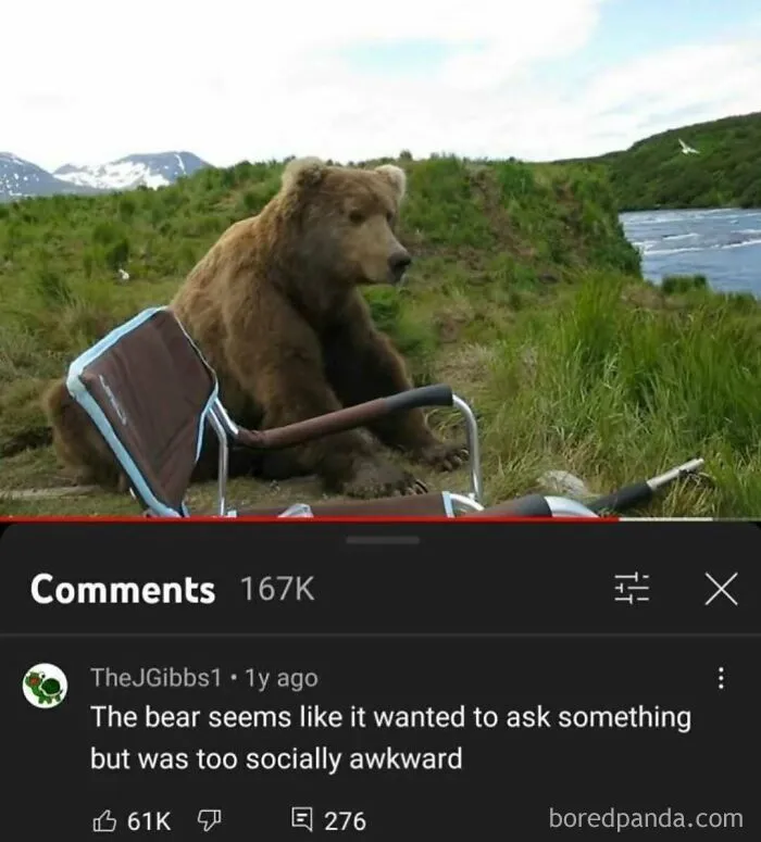 A bear sitting next to a broken stroller, with a YouTube comment finding gold about its social awkwardness.