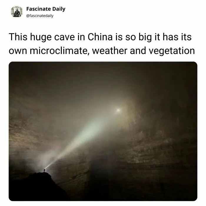 Huge cave in China with its own microclimate, weather, and vegetation inside